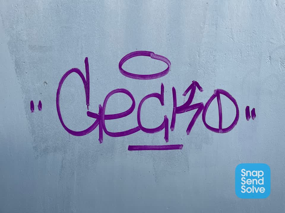 The photograph attached to this graffiti report