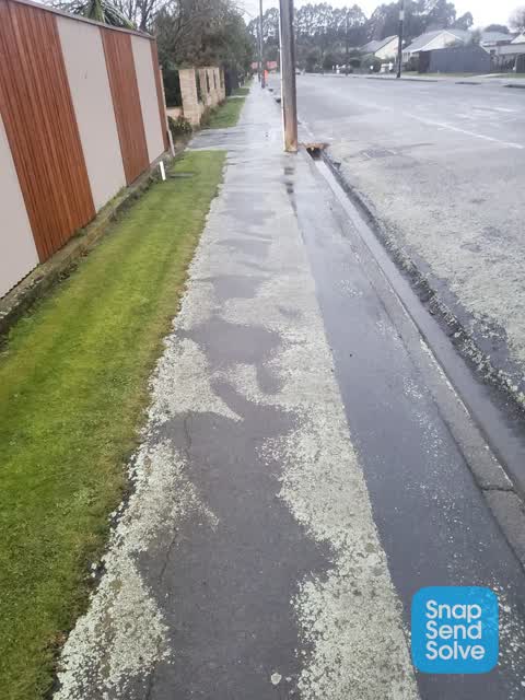 Roading/Streets, a report photo