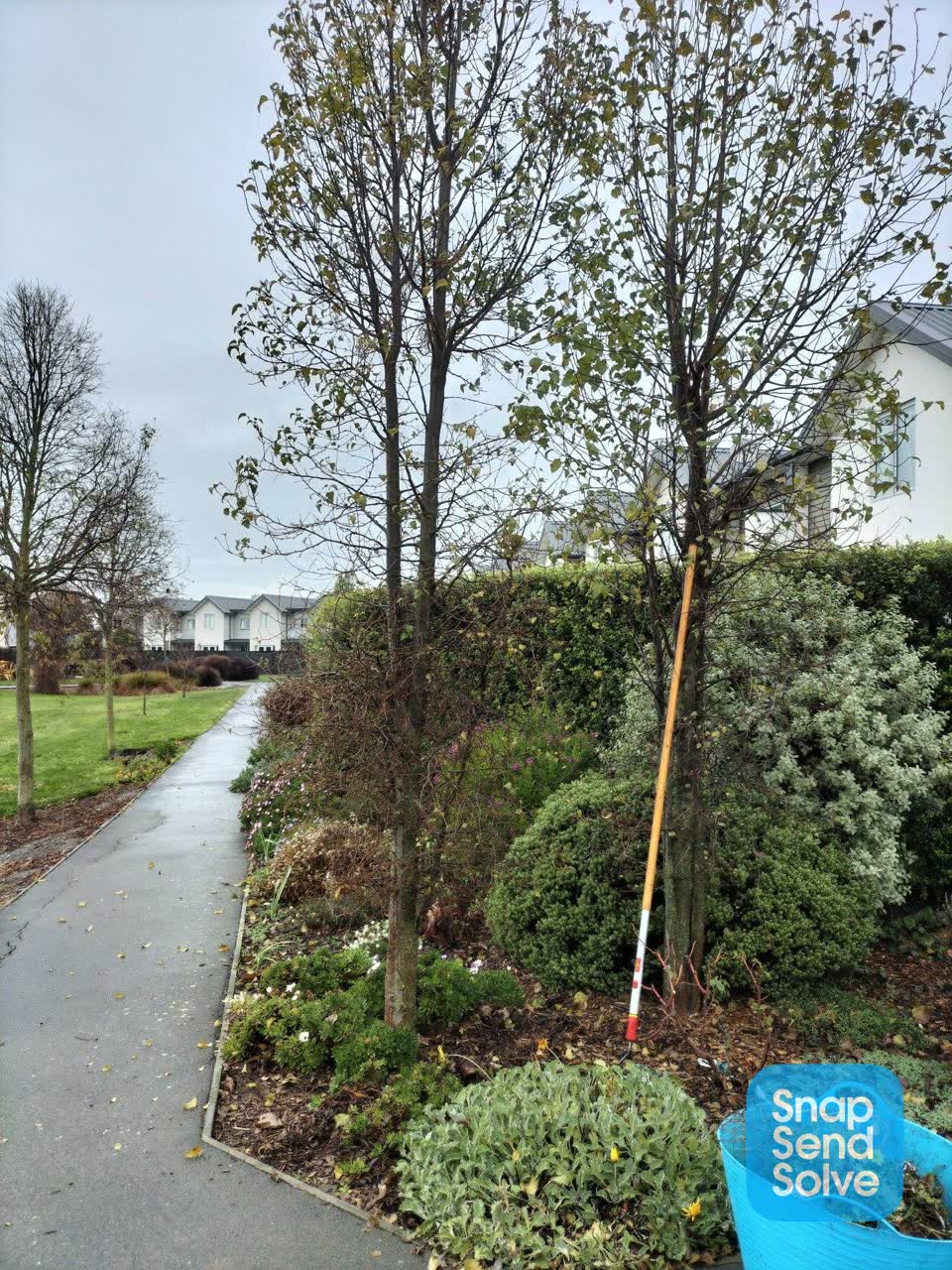 The photograph attached to this parks report