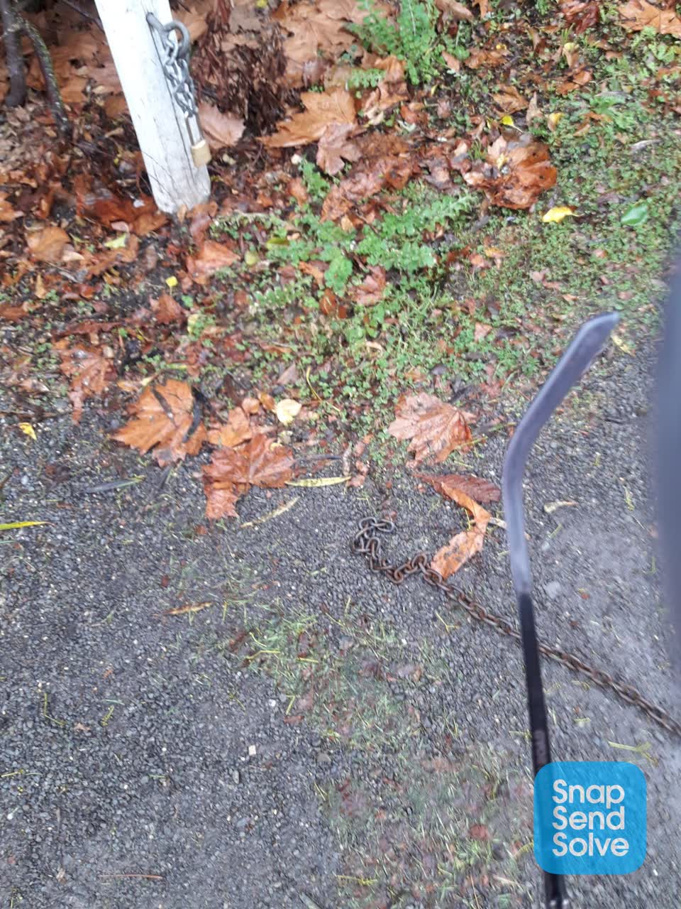 The photograph attached to this parks report
