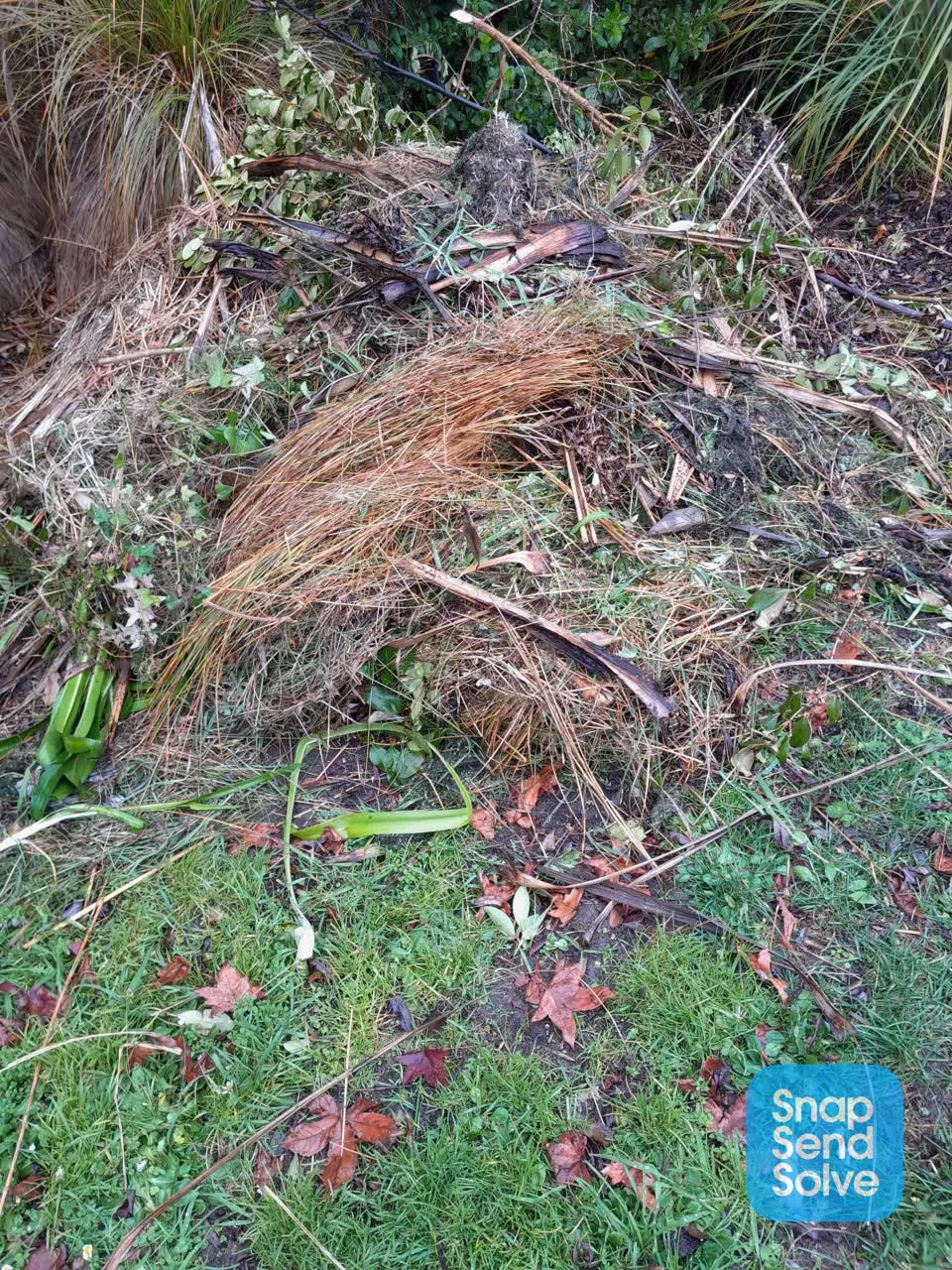 The photograph attached to this parks report