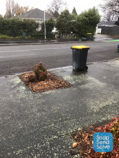 Rubbish/Recycling, a report photo