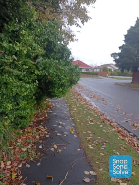 Roading/Streets, a report photo