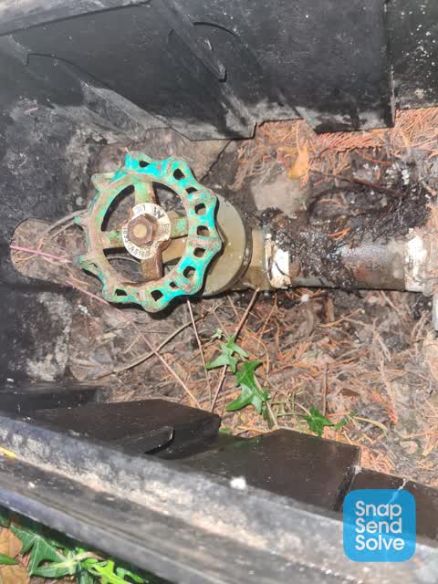 Water Leak, a report photo