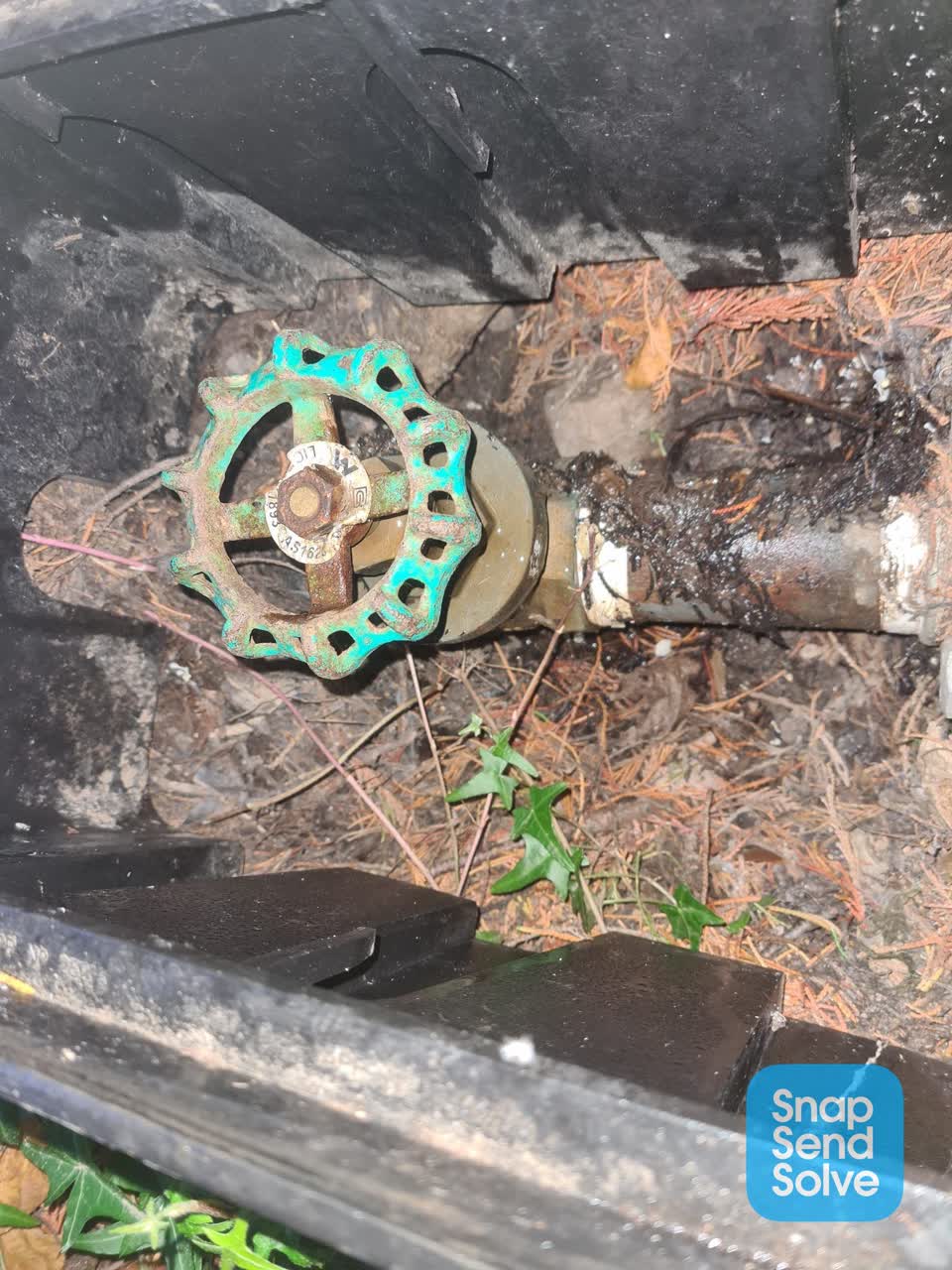 The photograph attached to this water leak report