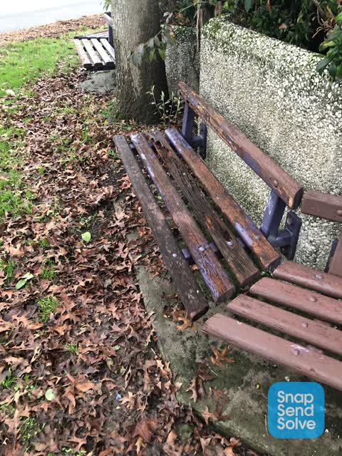 Parks, a report photo
