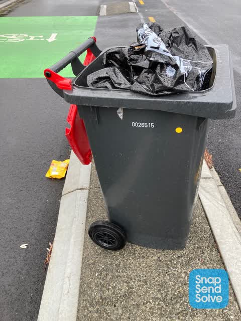 Rubbish/Recycling, a report photo