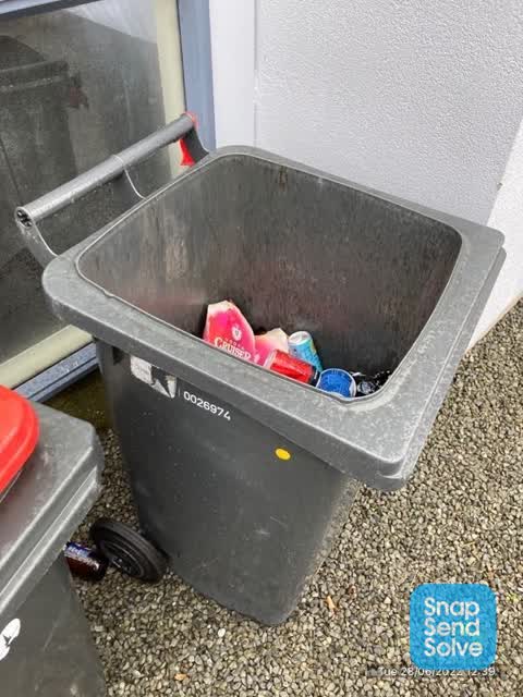 Rubbish/Recycling — a report photo