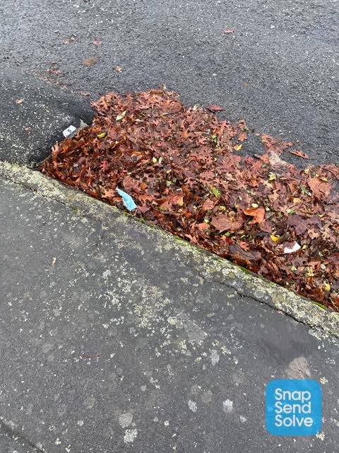 Roading/Streets, a report photo