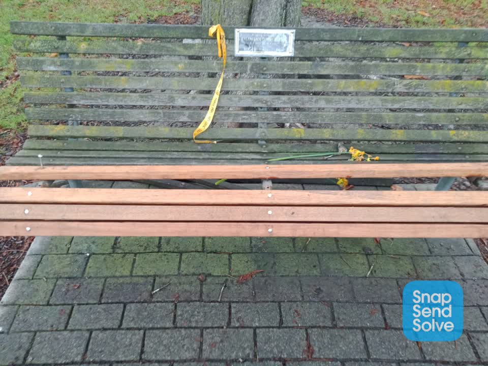 The photograph attached to this parks report
