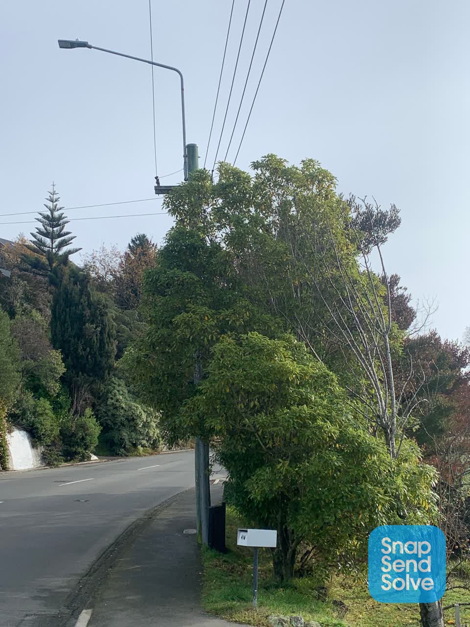 The photograph attached to this roading/streets report