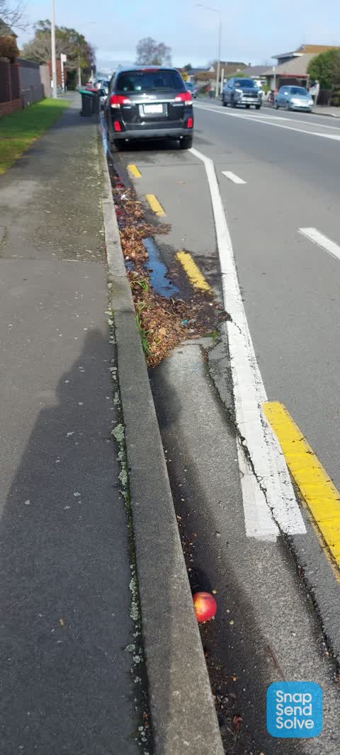 Roading/Streets, a report photo
