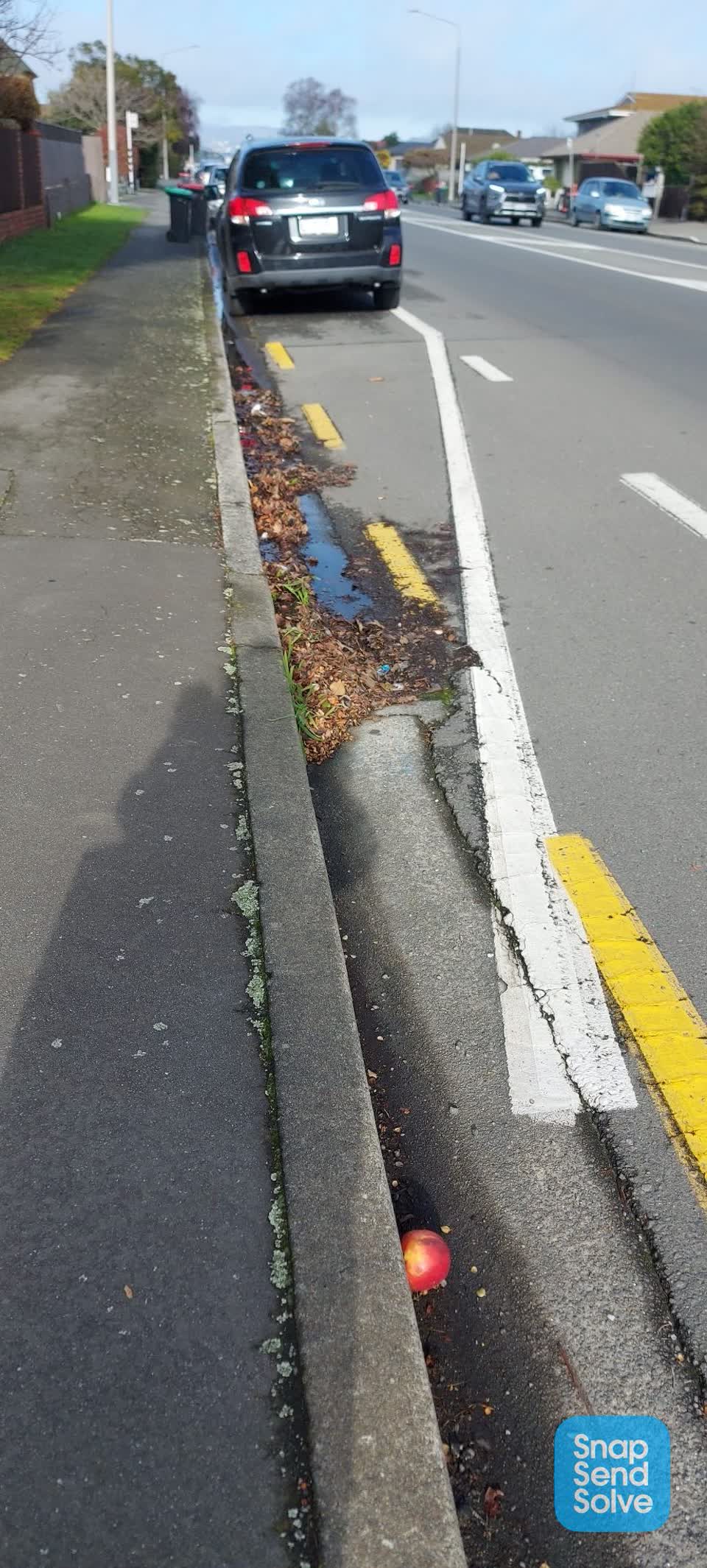 The photograph attached to this roading/streets report