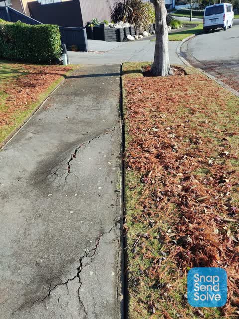 Roading/Streets, a report photo