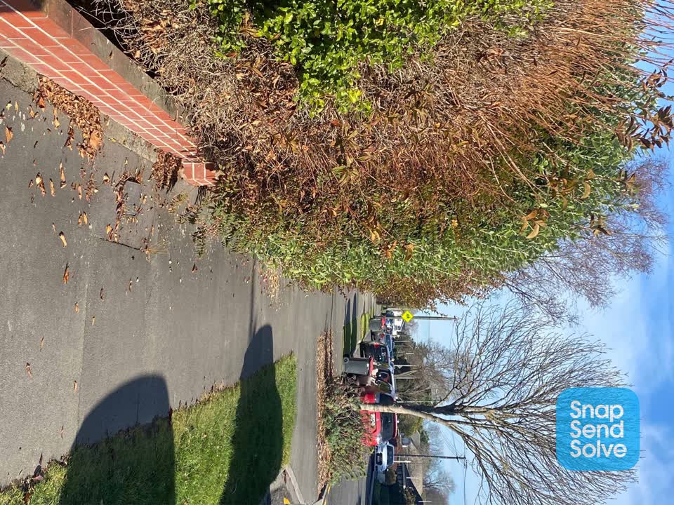 The photograph attached to this roading/streets report