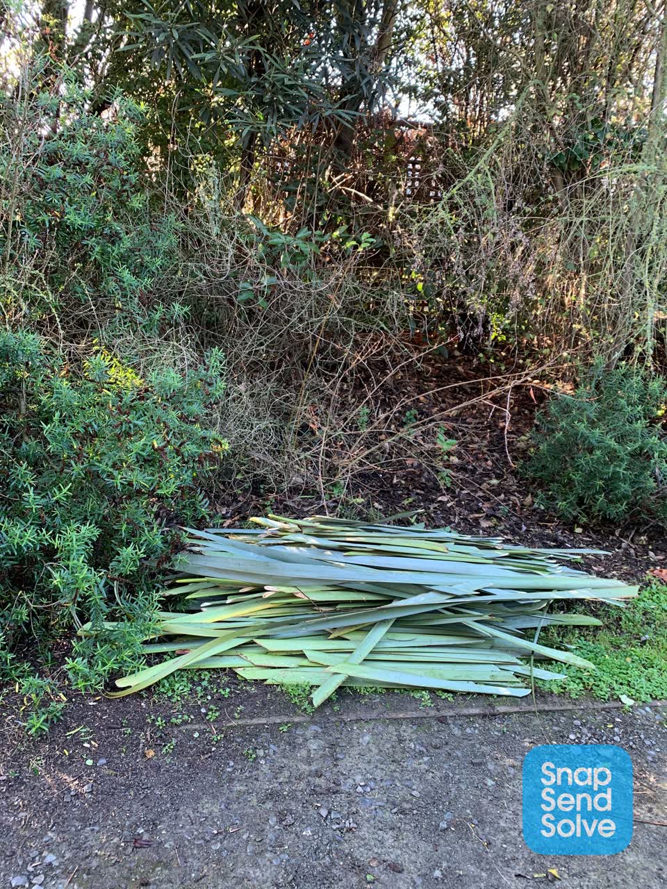 The photograph attached to this rubbish/recycling report