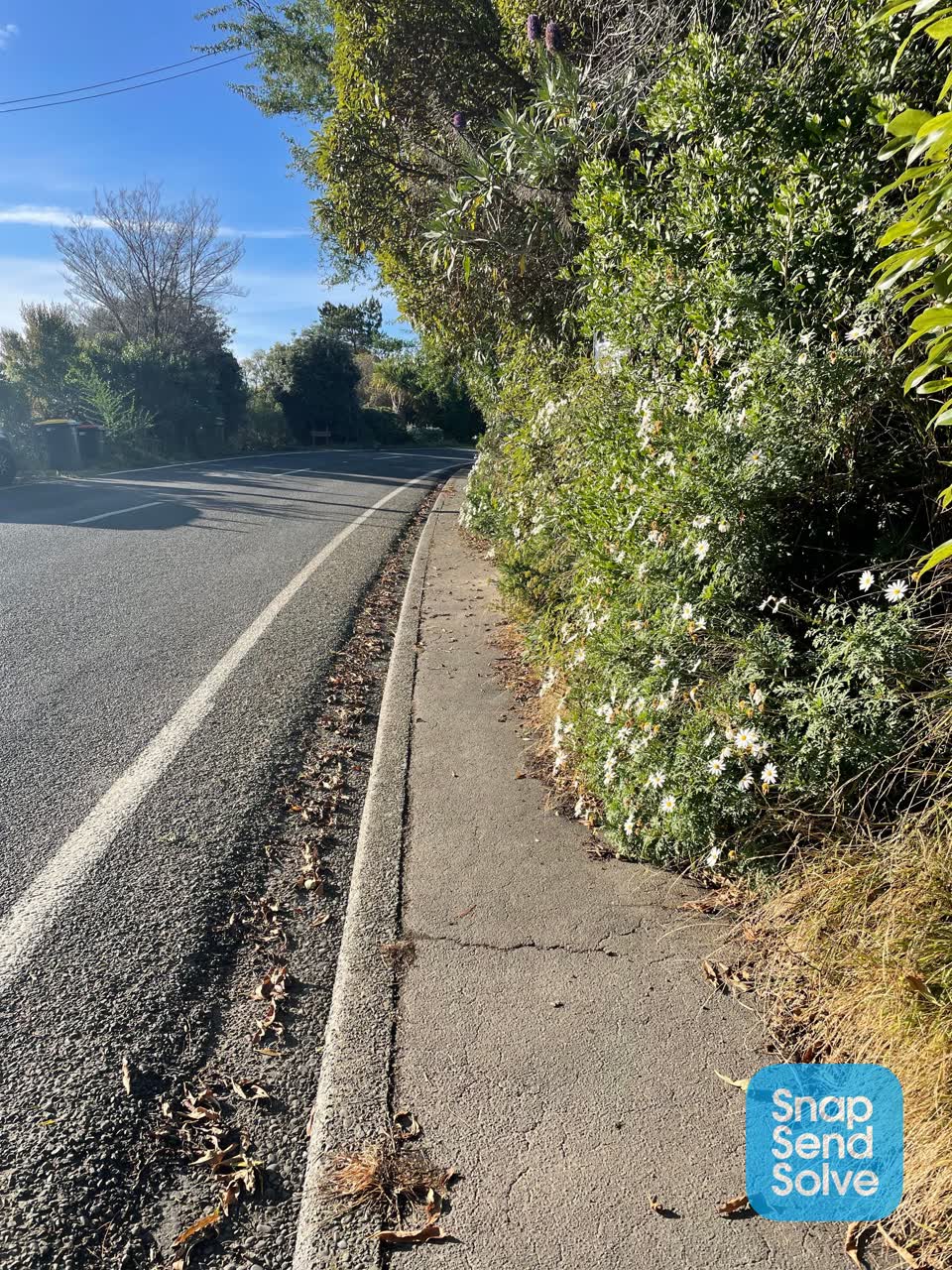The photograph attached to this roading/streets report