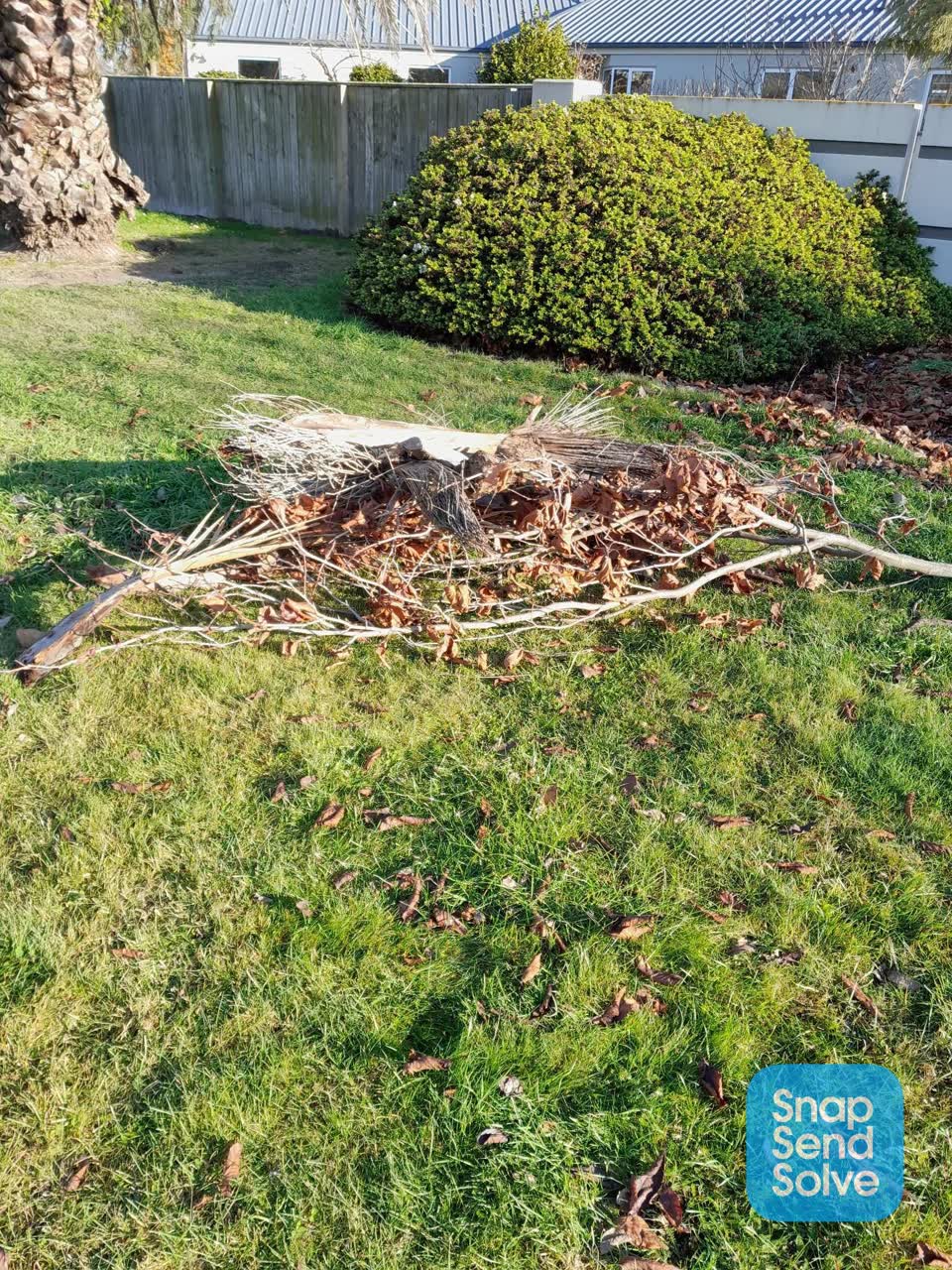 The photograph attached to this parks report