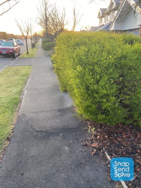 Roading/Streets, a report photo