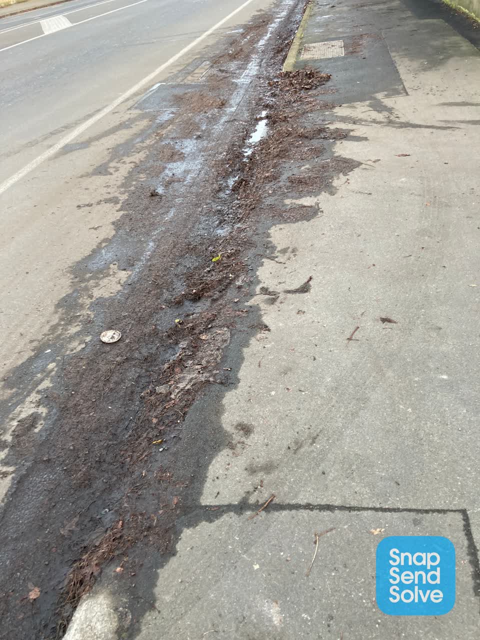 The photograph attached to this roading/streets report