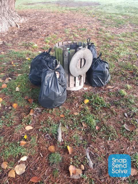 Rubbish/Recycling — a report photo