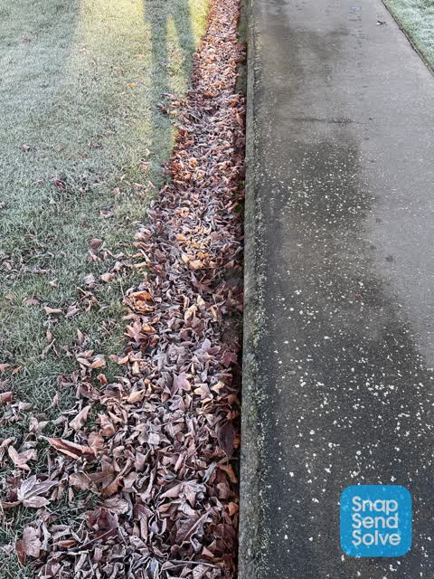 Flooding, a report photo