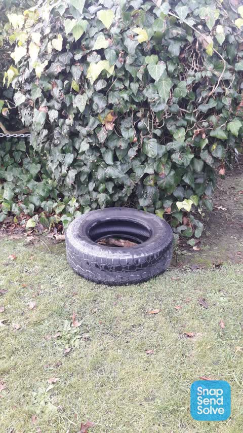 Rubbish/Recycling, a report photo
