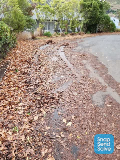 Parks, a report photo