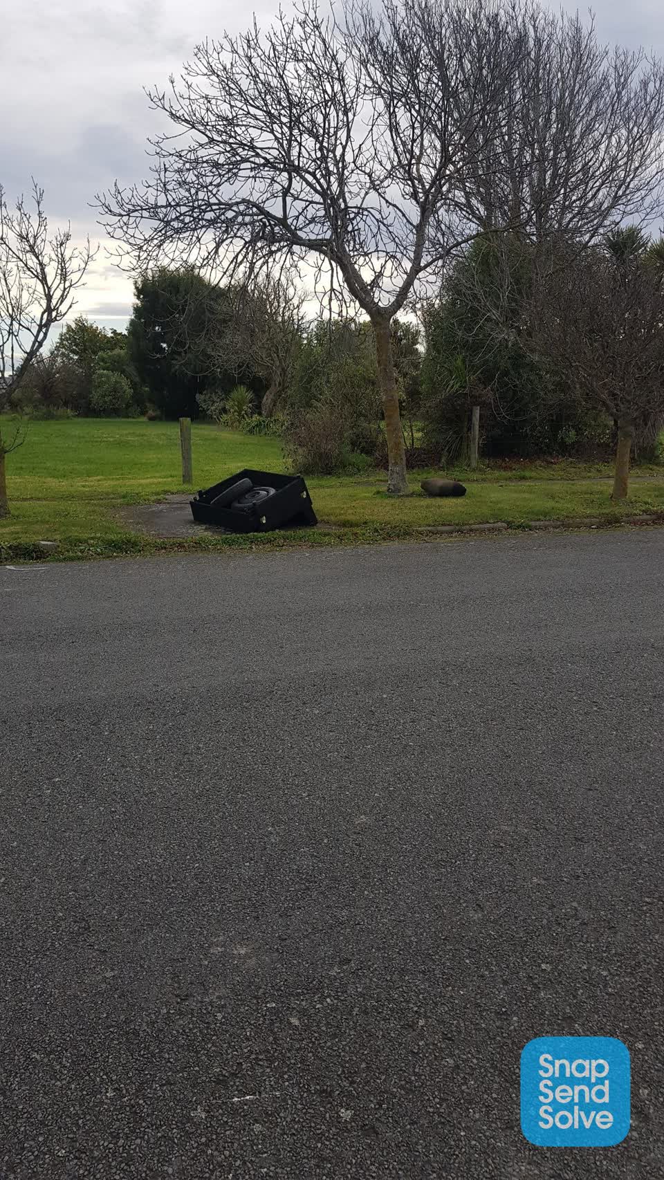 The photograph attached to this rubbish/recycling report