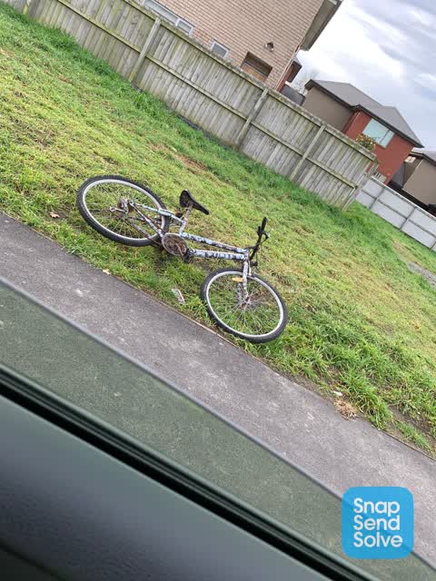 Rubbish/Recycling, a report photo