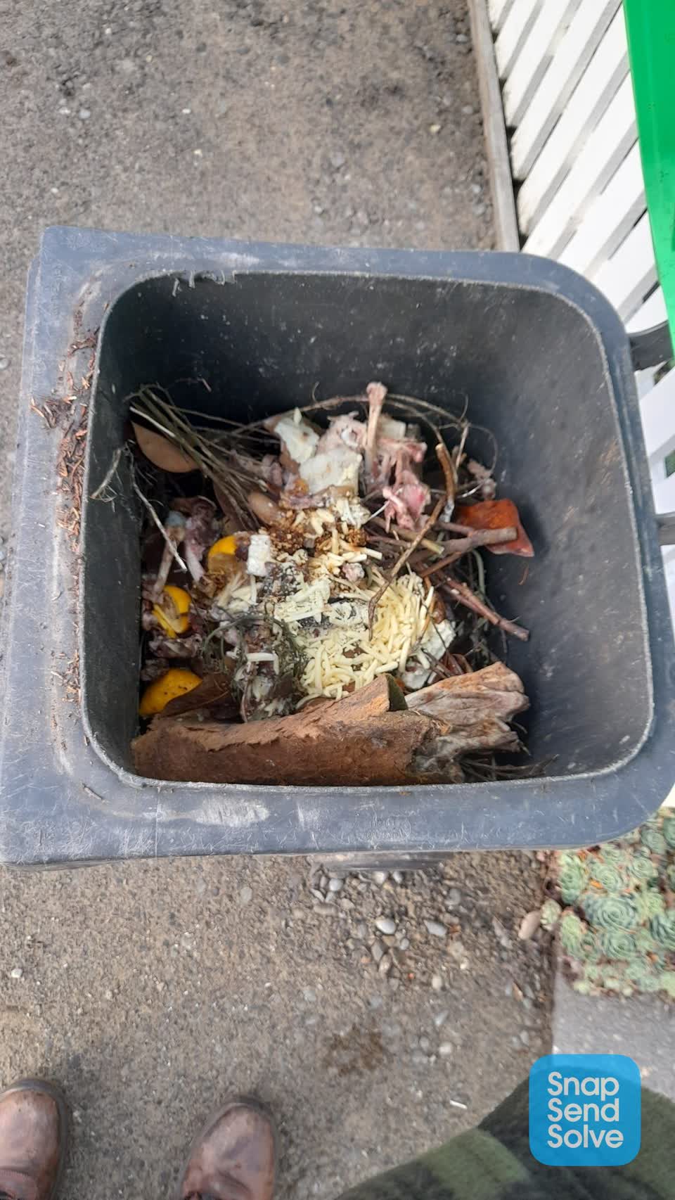 The photograph attached to this rubbish/recycling report