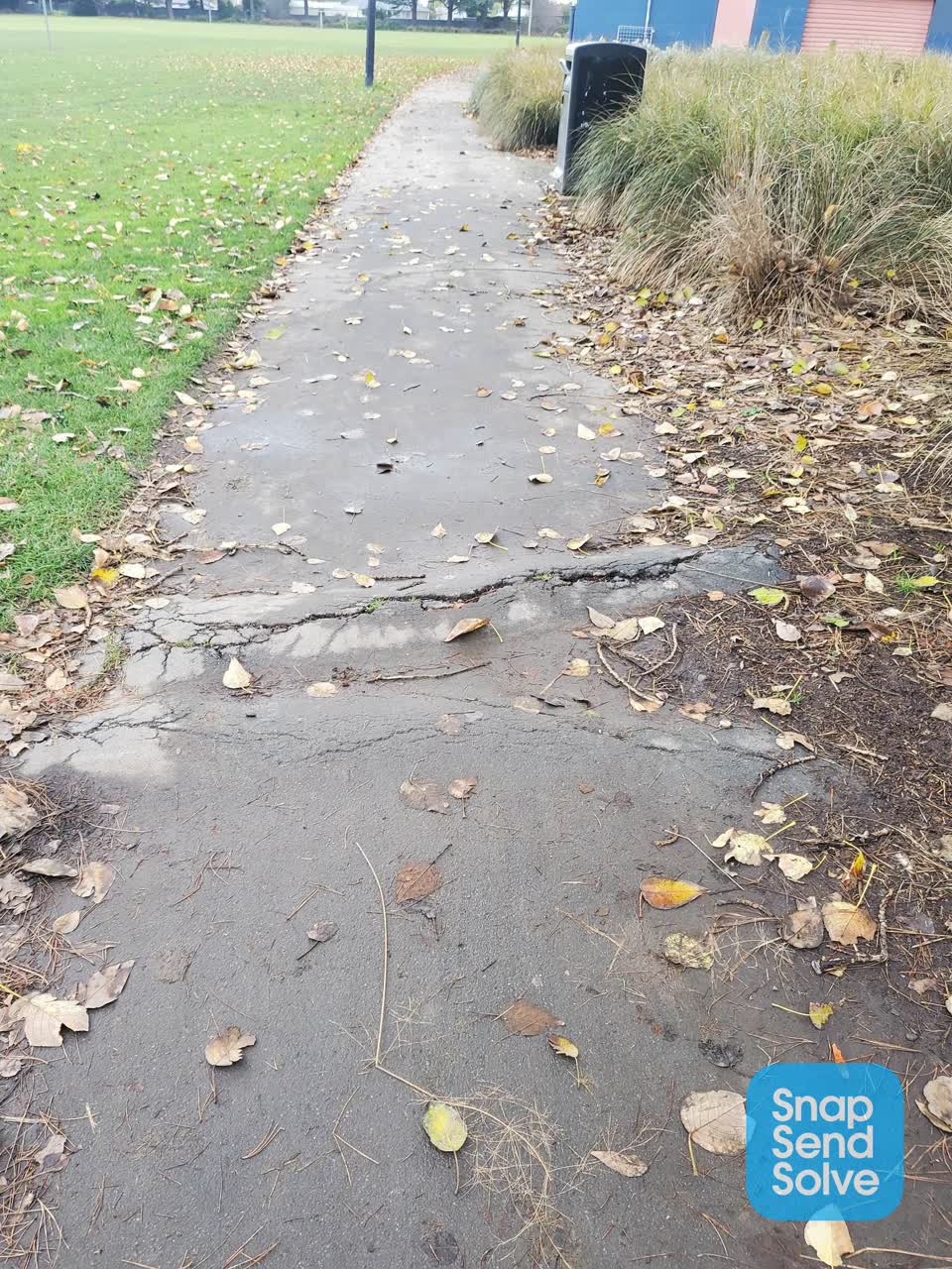 The photograph attached to this parks report