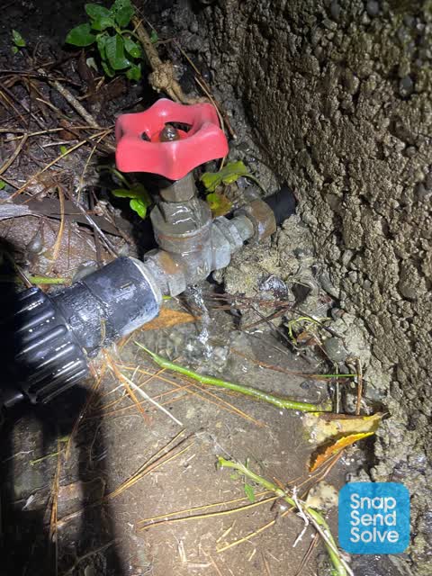 Water Leak, a report photo