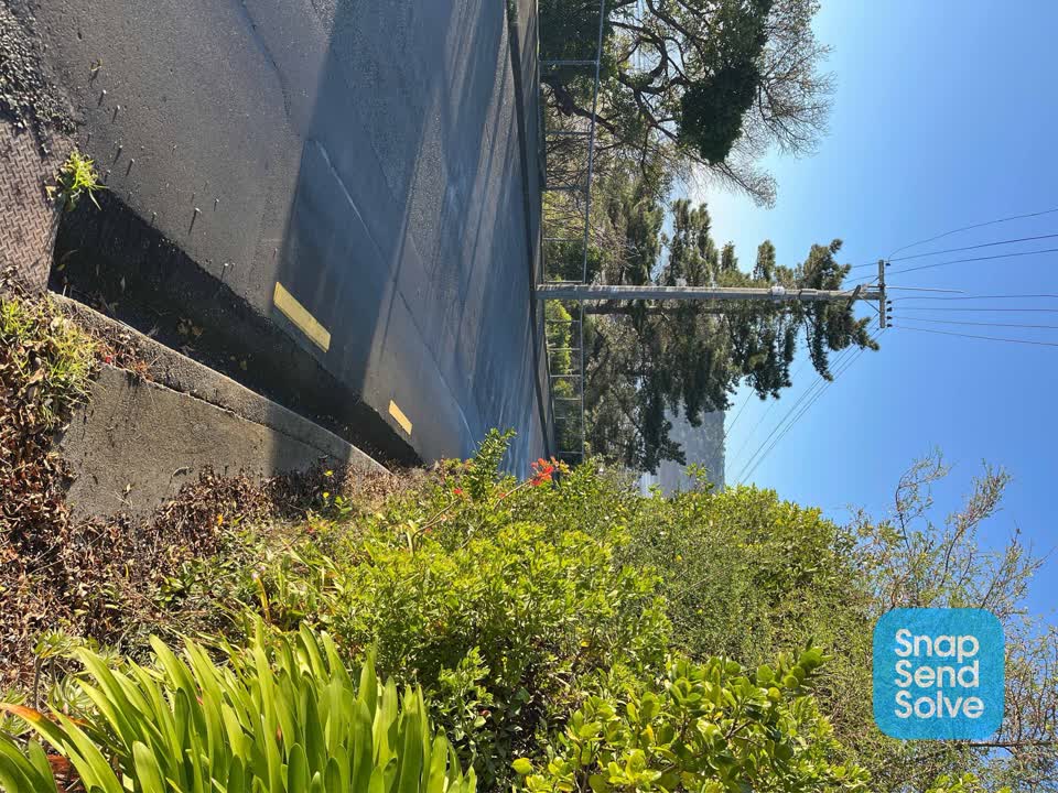 The photograph attached to this roading/streets report