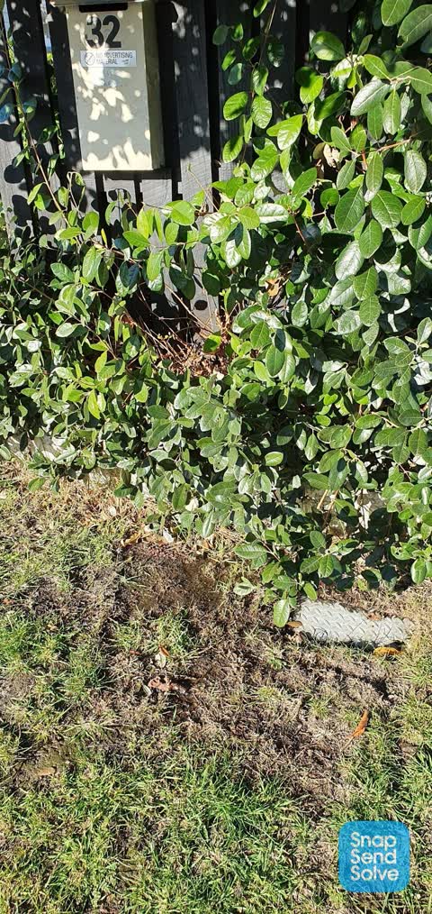 Water Leak, a report photo