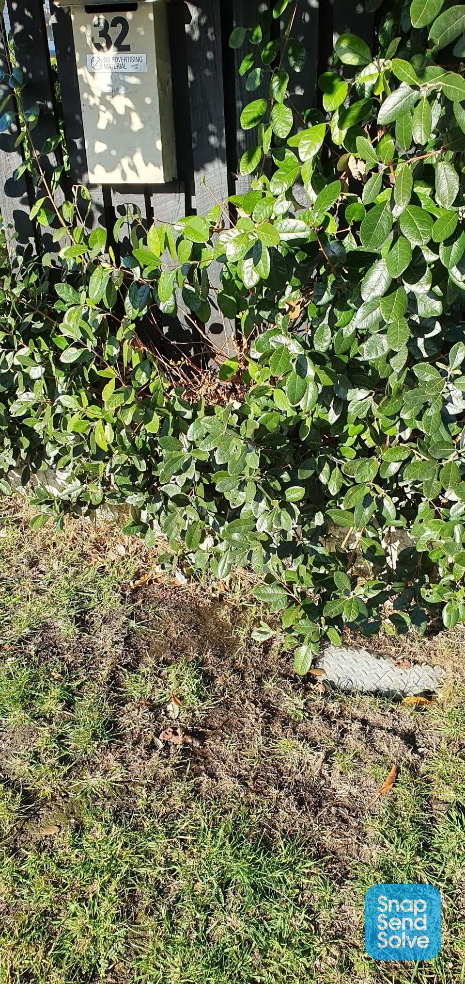 The photograph attached to this water leak report