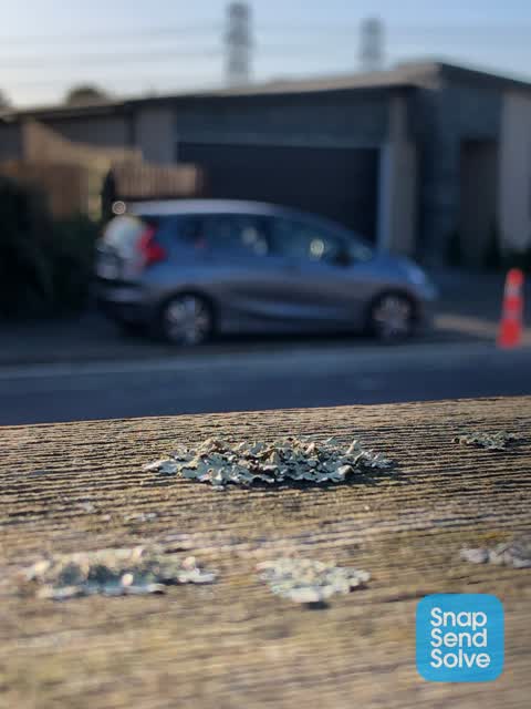 Roading/Streets, a report photo