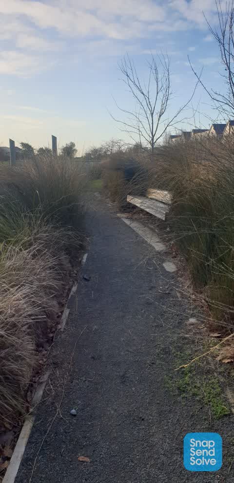 Parks, a report photo