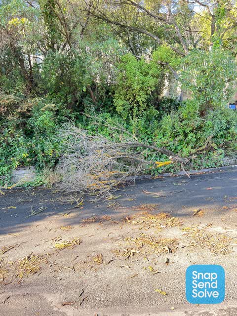 Roading/Streets, a report photo