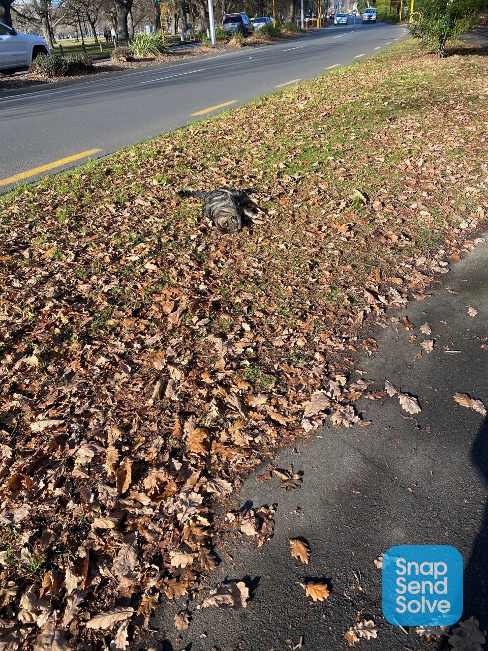 The photograph attached to this roading/streets report