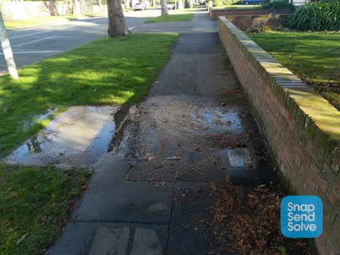 Water Leak, a report photo