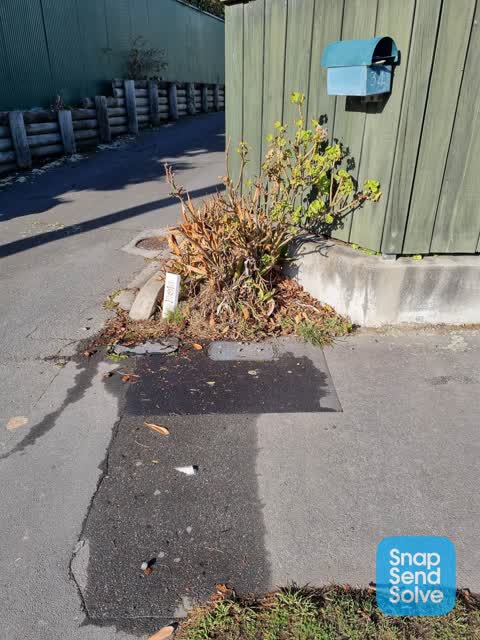 Water Leak, a report photo