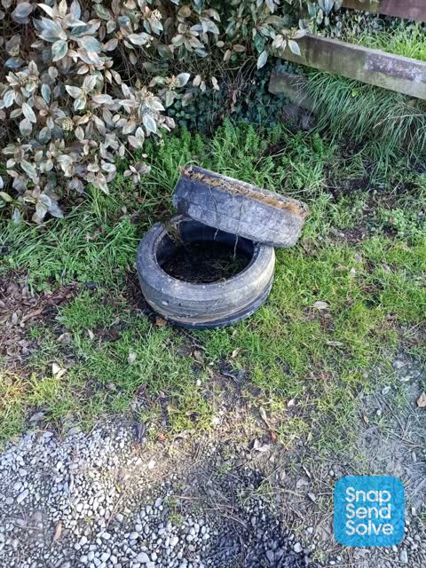Rubbish/Recycling, a report photo