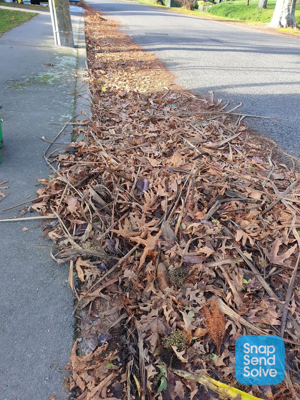 The photograph attached to this roading/streets report
