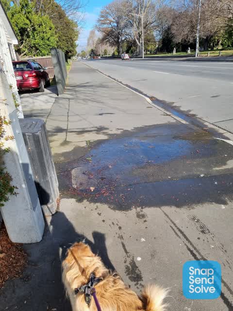 Water Leak, a report photo