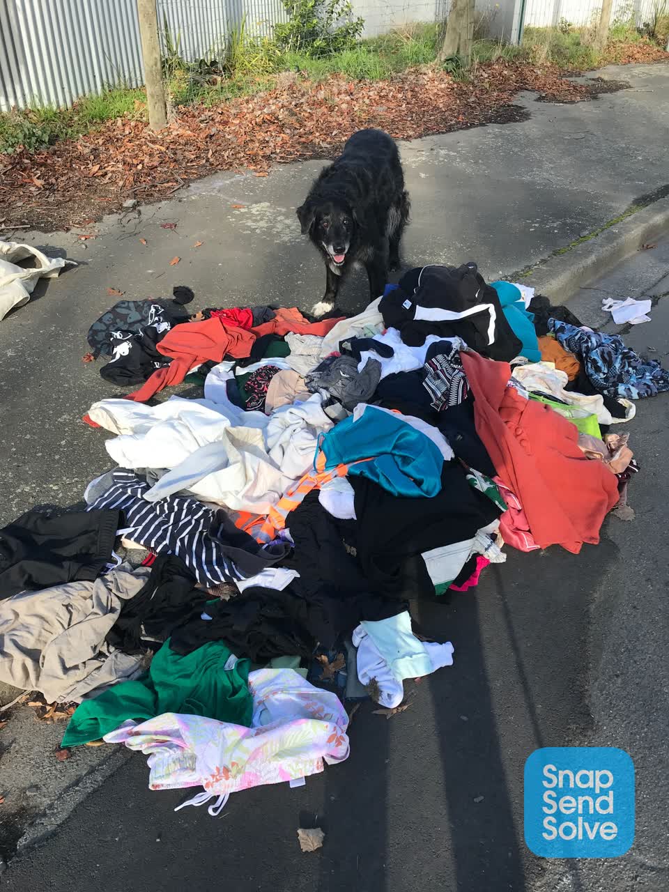 The photograph attached to this rubbish/recycling report