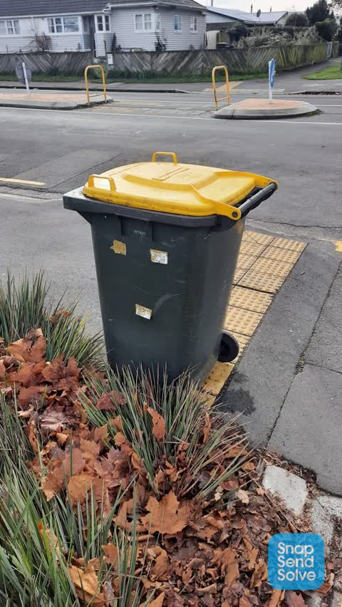 Rubbish/Recycling, a report photo