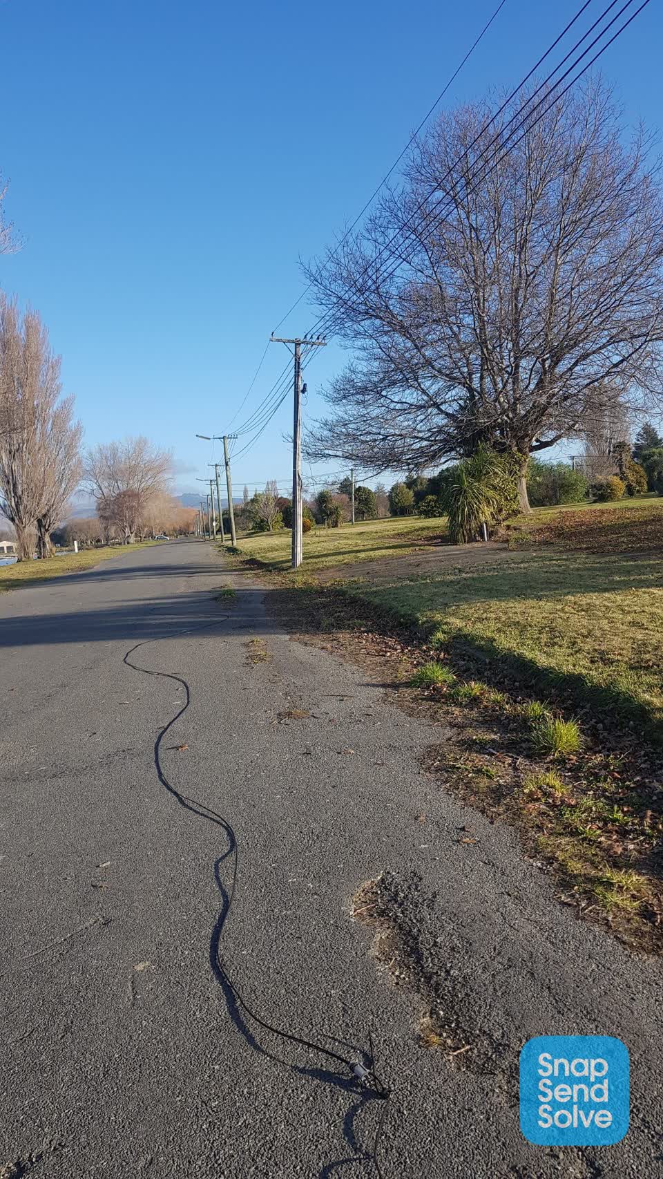 The photograph attached to this parks report