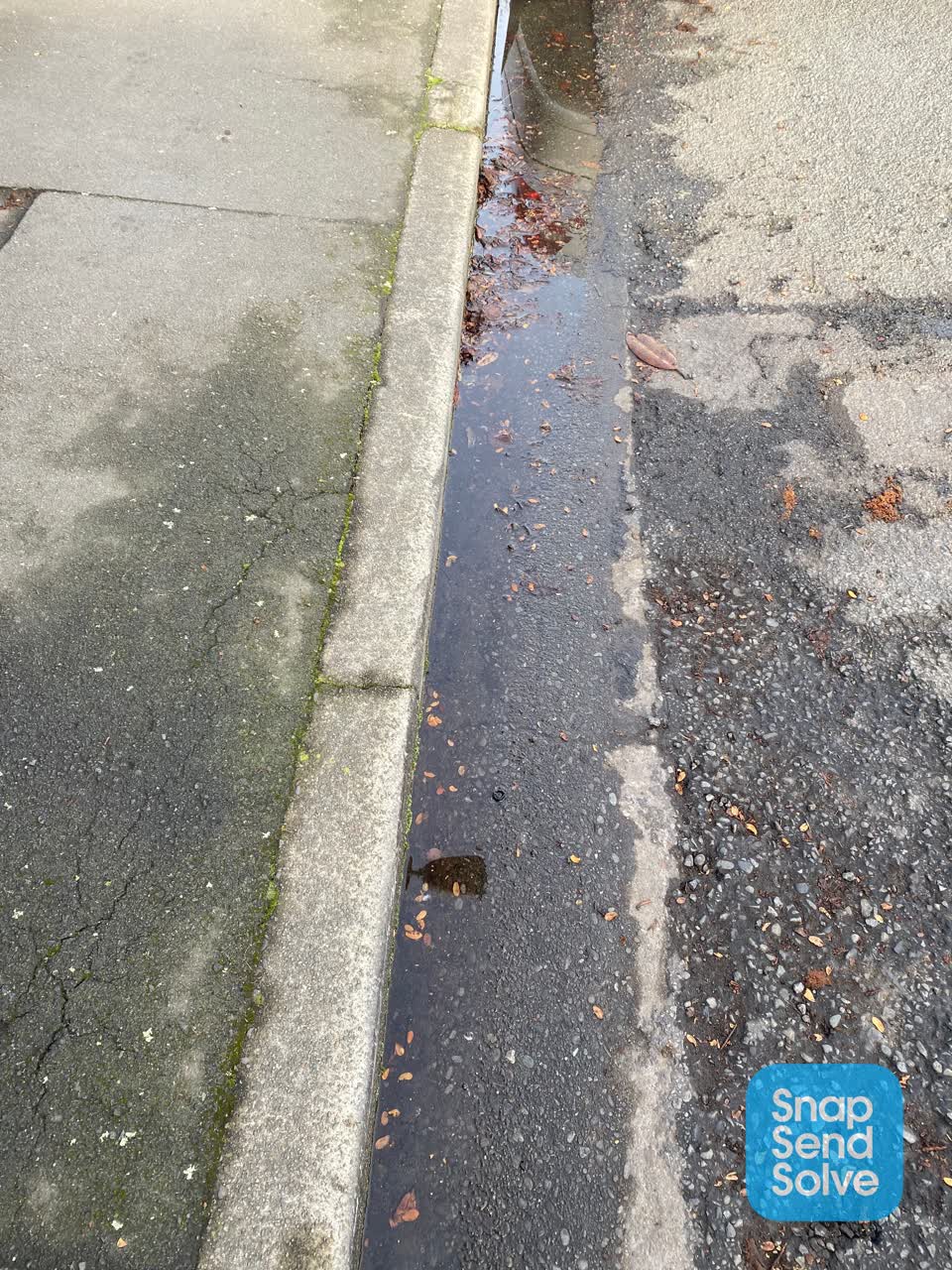 The photograph attached to this sewer - leak / blockage report