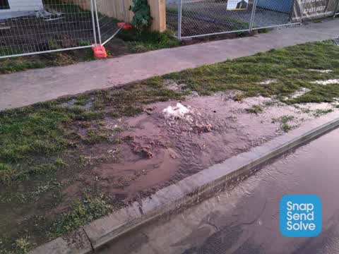 Water Leak, a report photo